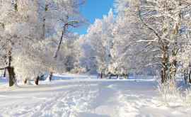 Recorduri de temperaturi în România de 60 de ani nu a fost așa 