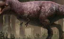 Aceasta este cea mai clară reconstrucţie a marelui dinozaur Trex