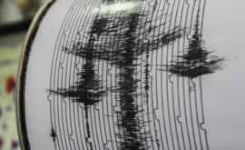 Мощное землетрясение в Новой Зеландии