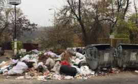 Одна из столичных улиц превратилась в мусорную свалку ФОТО