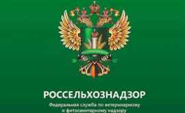 Rusia a stopat importul de produse vegetale din două raioane ale Moldovei