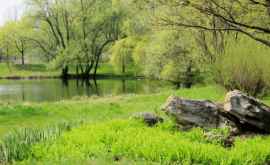 Muzeul naturii din Chișinău FOTO