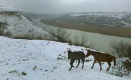 Prognoza meteo pentru 6 februarie