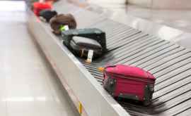 Удивительная находка в багаже пассажира в аэропорту Гонконга