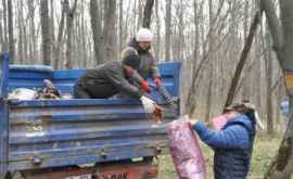 Încă un parc din capitală va fi evacuat de deşeuri 