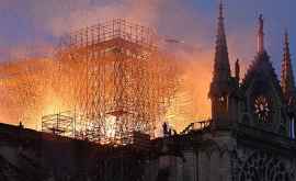 Названы сроки восстановления собора Парижской Богоматери