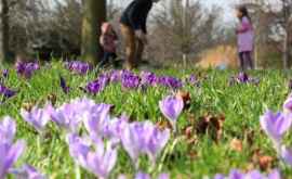 Prognoza meteo pentru 14 mai