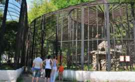 Surprize frumoase pentru copii de 1 iunie la Grădina zoologică din Chișinău