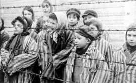 Мнение Предмет Холокост история и уроки жизни нужно включить в общую программу 