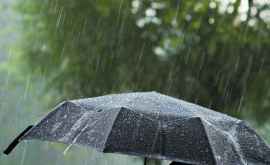 Ploaia a făcut prăpăd la Corjeuți