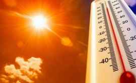 Temperaturi alarmante Europa lovită de caniculă