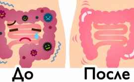 Aceste 2 ingrediente vor spăla kilograme de toxine din intestine