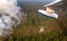 Нейросеть определит изменение границ лесных пожаров по спутниковым снимкам