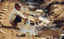 Исследование почти 25 населения Земли сталкивается с нехваткой питьевой воды