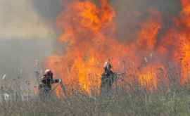 Alertă meteo Pericol excepţional de incendiu în Moldova