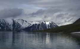 В Арктике обнаружили пять новых островов 
