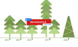 Povestea bradului de Crăciun din Piața Marii Adunări Naționale INFOGRAFIC