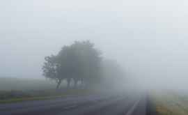 Желтый уровень опасности в связи с туманом на всей территории страны