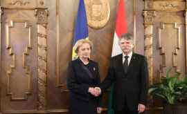 Zinaida Greceanîi a avut o întrevedere cu președintele Adunării Naționale a Ungariei