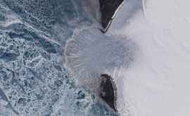 Ледник Купол Вавилова в Арктике съезжает в океан с рекордной скоростью