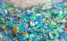 Microplasticul consumat inconștient ne afectează sănătatea