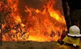 Noi evacuări masive în Australia