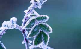 Meteo 10 ianuarie Vremea se încălzește