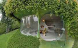 Case organice minunate acum puteți trăi ca un Hobbit Foto