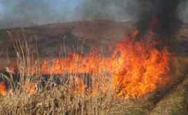 Incendiu de vegetație la Anenii Noi Mai mulți pompieri la fața locului VIDEO