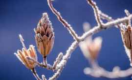 Meteo 14 februarie Temperaturi de pînă la 9 grade