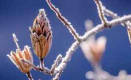 Meteo 22 februarie Temperaturi de pînă la 9 grade