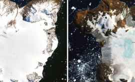 НАСА зафиксировало рекордно быстрое таяние льдов в Антарктиде