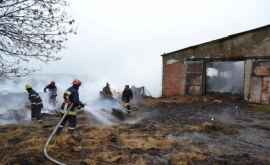 При пожаре в селе Томай погибли 35 овец