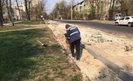 Mai multe trotuare din capitală au intrat în reparație FOTO