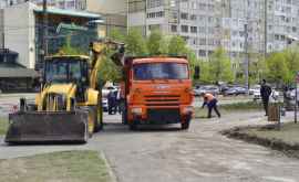 Начинается ремонт одной из столичных аллей