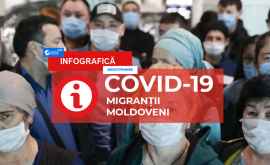 Молдавские мигранты в условиях COVID19 Вопросы и ответы
