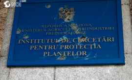 Institutul de Cercetări pentru Protecția Plantelor în paragină VIDEO