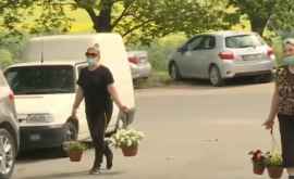 Locuitorii capitalei care au mers la cimitr cu flori pomeni și au făcut cale întoarsă