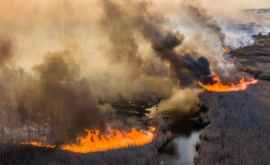 Incendiu la Cernobîl De unde a izbucnit focul