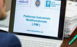 Ședință la Guvern privind crearea platformelor industriale multifuncționale