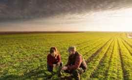 Care este cea mai gravă problemă cu care se confruntă agricultura moldovenească