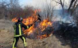 7 ha de grîne mistuite de flăcări FOTO