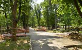 Reabilitarea Parcului Alunelul Au fost găsiți bani pentru a doua etapă a lucrărior