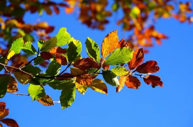 Prognoza meteo pentru 3 octombrie